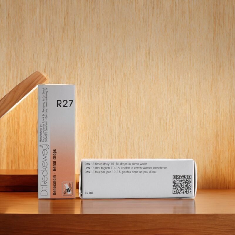 reckeweg r27 renal