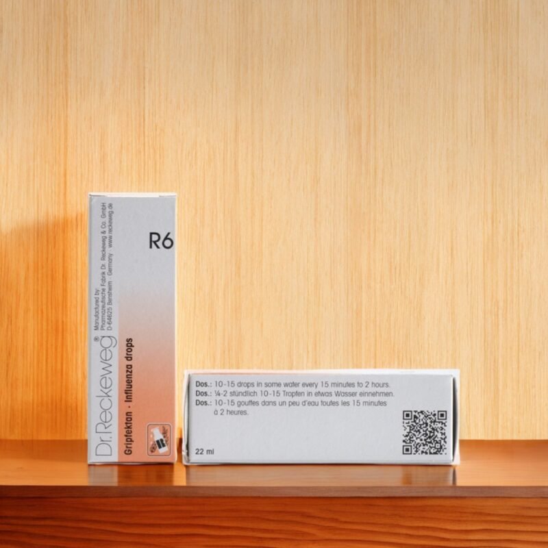 reckeweg r6 influenza